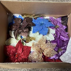 45 Beautiful poinsettias in many different colors blue brown white etc.